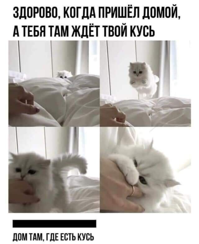 кусь.jpg