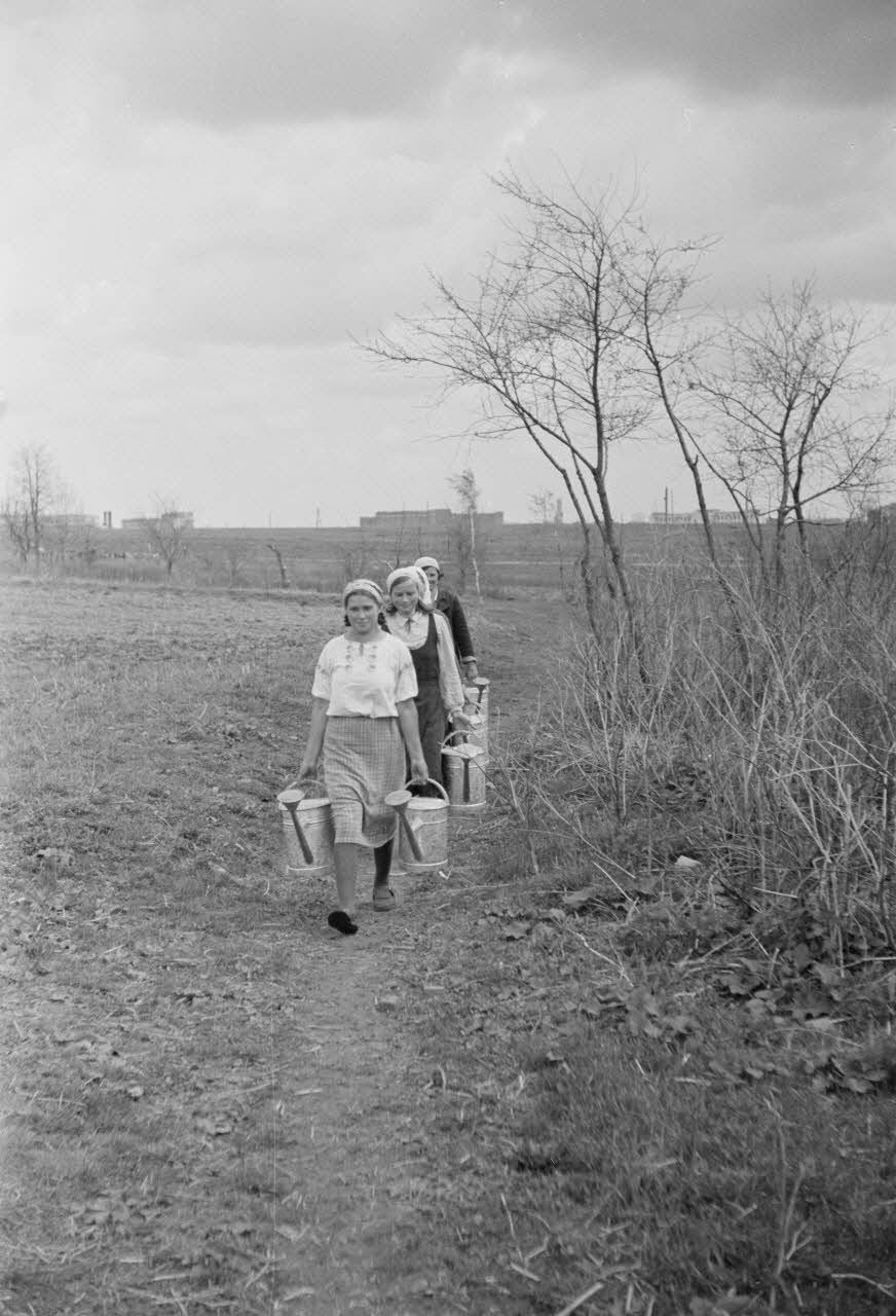 2305177_3_1_Des femmes travaillent dans une ferme récemment réquisitionnée par l'armée de l'air allemande _1942.jpg