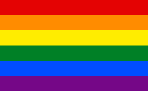 300px-Gay_flag.svg.png