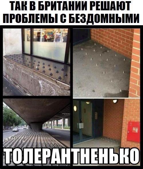 скоро в канаде и омерице.jpg