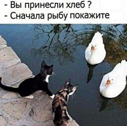 стрелка.jpg