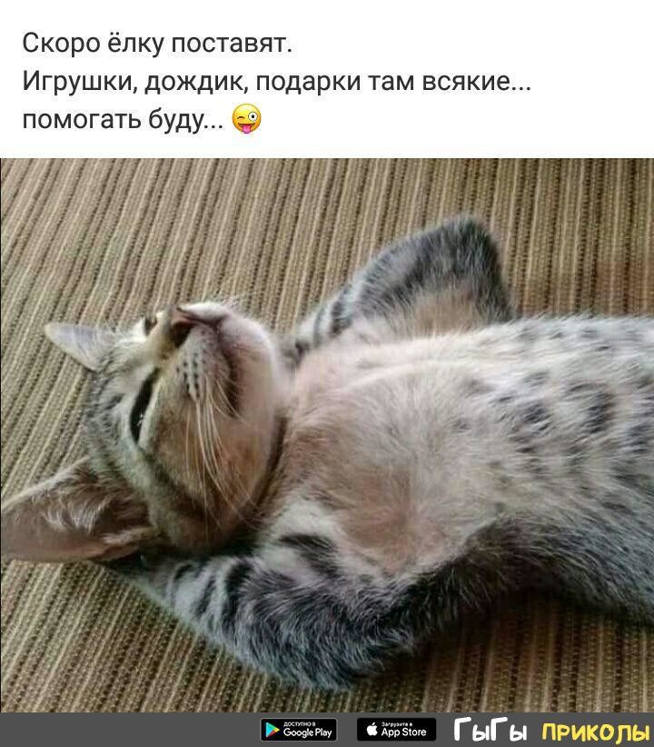 скоро НГ.jpg