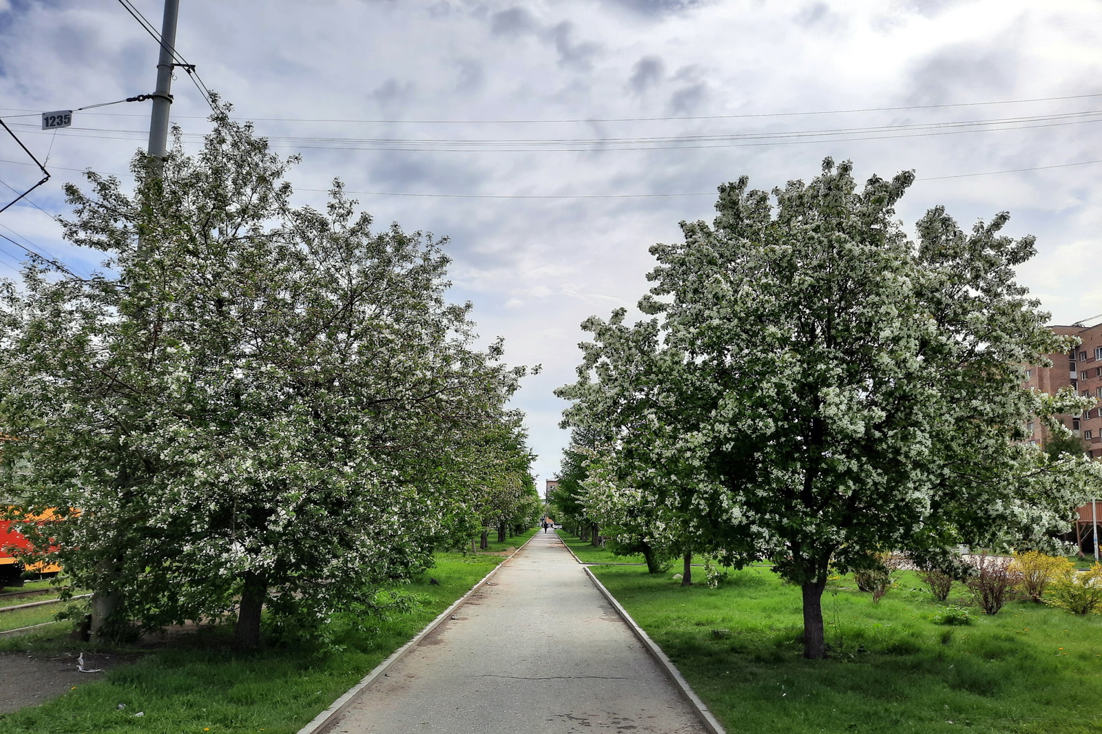 2022.05.25  (1)   ВИЗ. ул. Татищева.jpg