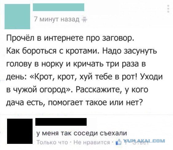 Крот, уходи