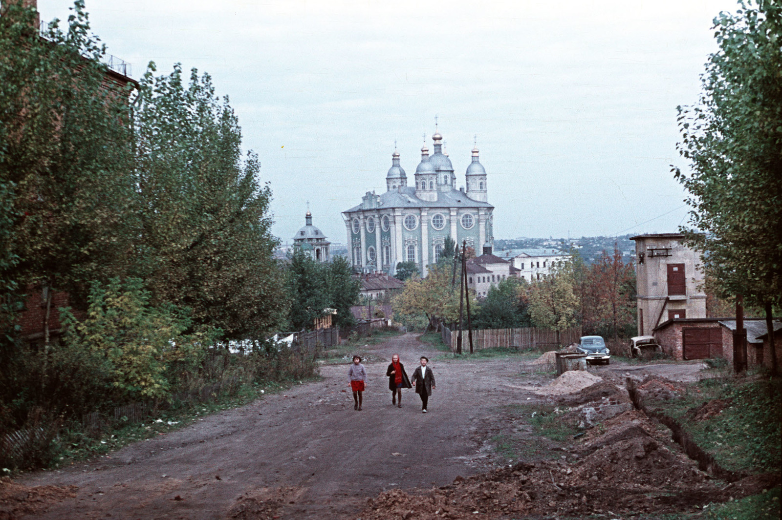 Вид на собор Успения Пресвятой Богородицы с улицы Докучаева.jpg