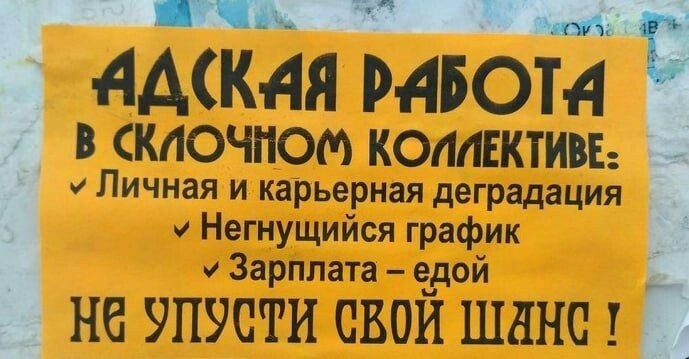 работа.jpg