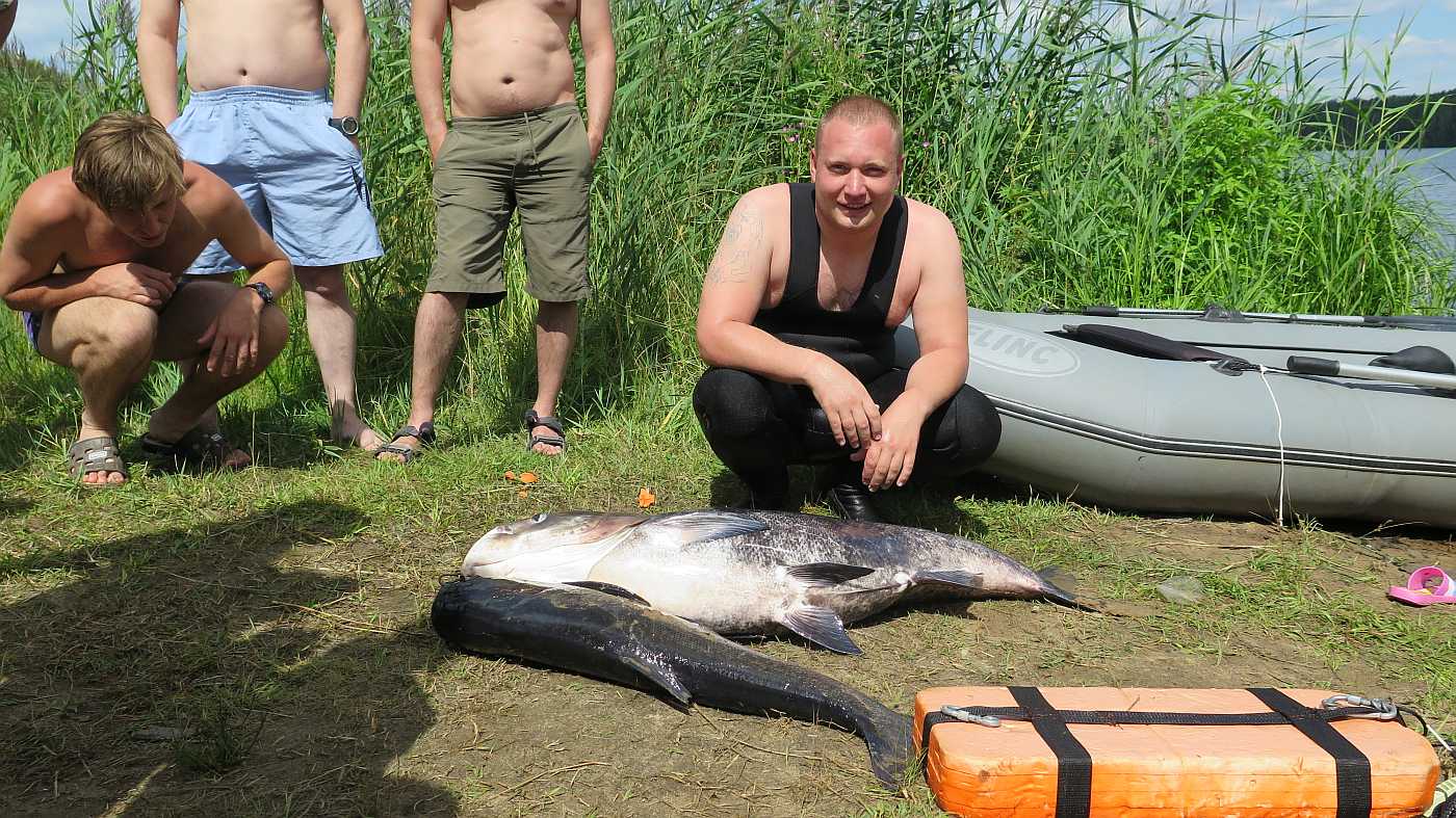 Пойманные рыбки весом больше 40 кило